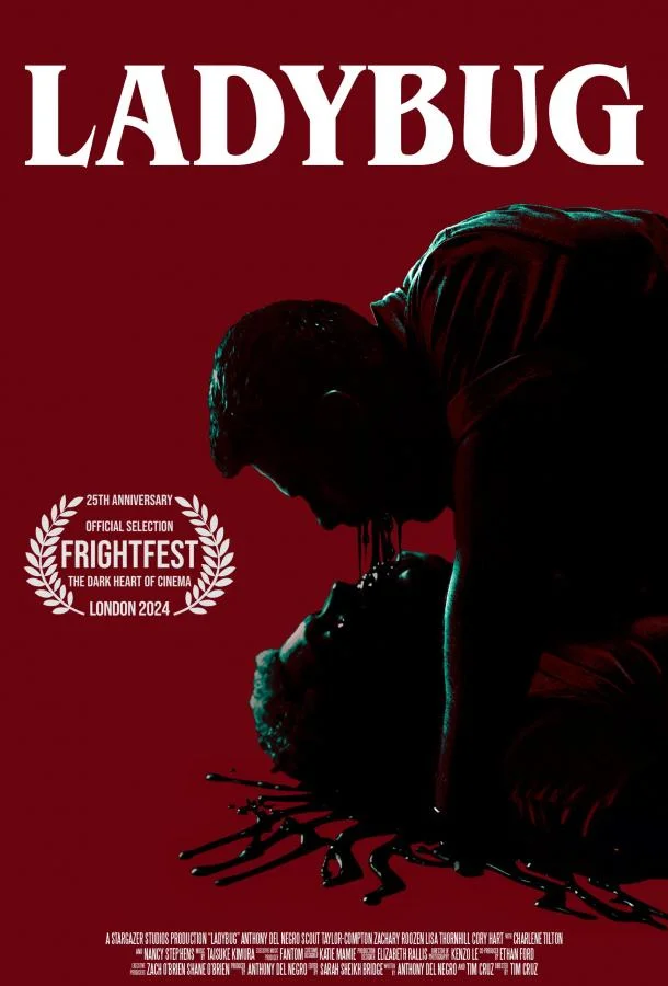 Божья коровка Фильм2024смотреть онлайн бесплатно